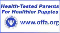 Blackmoore Mastiffs believes in health testing!